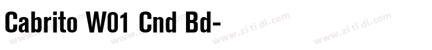 Cabrito W01 Cnd Bd字体转换